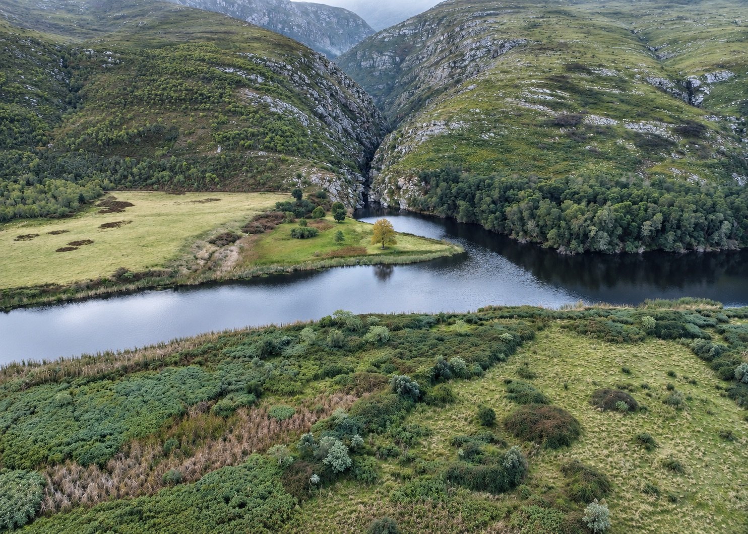 Aerial view of the lone tree on its point by the river, with the gorge and ravines behind