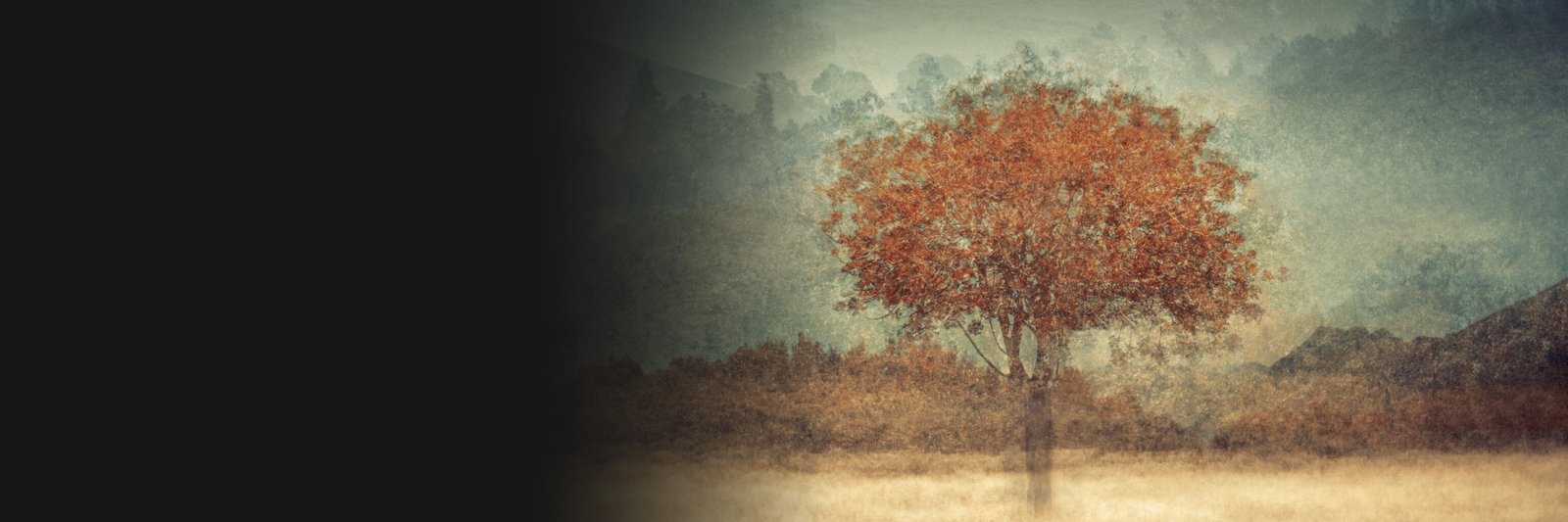Ethereal Landscapes